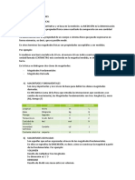 Magnitudes y Dimensiones 1