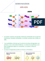 ÁCIDOS NUCLEICOS