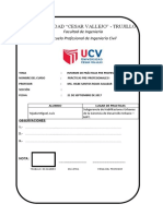 Informe de Practicas Pre Profesioanles