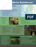 The Valdivia Rainforest: Background Information