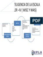 Ppe Wisc Iv PDF