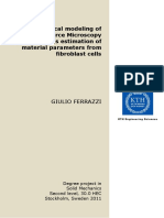 M - Numerical Modeling of AFM (Tip) - M PDF