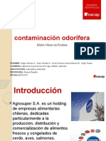 Contaminacion Odorifica Freirina Final