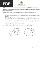 Printable Brain Hemisphere Hat Template | PDF | Cerebral Hemisphere ...
