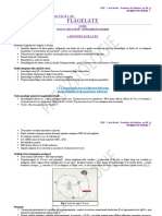 Parazitologie CURS Si LP 2.2 Flagelate 02.04.2020 (II)