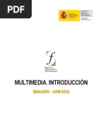 05 Multimedia. Introduccion Imagen. Anexo