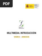05 Multimedia. Introduccion. Video. Anexo