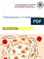 2 Osteogenesiscondrogenesis Finish