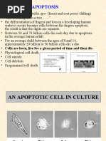 Download Apoptosis Lecture by Gajanan Saykhedkar SN46403057 doc pdf