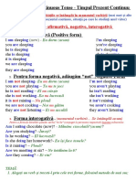 The Present Continuous Tense forma Interogativa + Tema