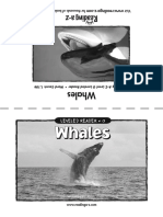 Whales_reading book for children