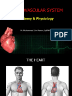 Anatomi Fisiology Sist.KV@dr.Zaini.pptx