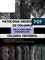 patologia degenerativa de columna lopez peña
