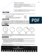 Testul Ceasului PDF