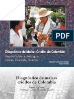 Región Cafetera.pdf