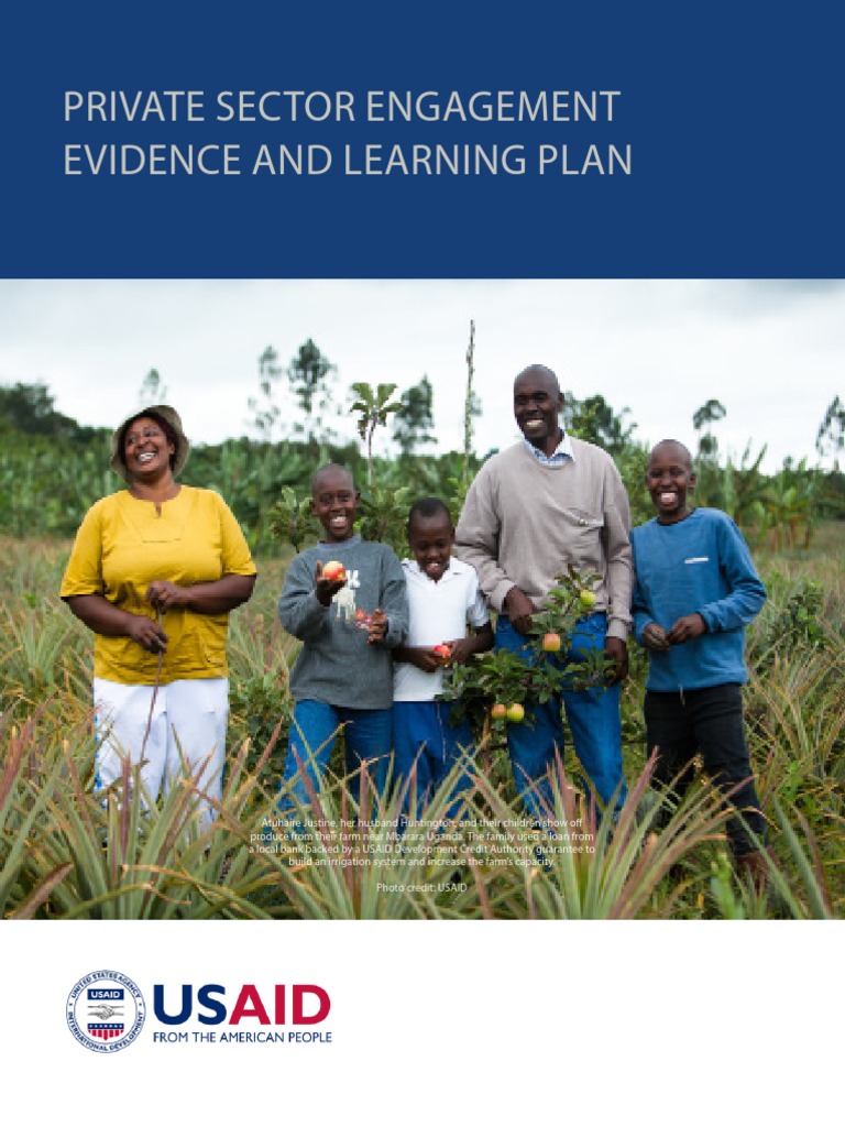 USAID Private Sector Engagement Plan | PDF | United States Agency For ...