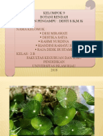 Kel 9 Botani Rendah (2) 22