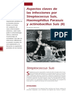 cys_5_infecciones__Streptococcus_Suis.pdf