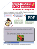 Áreas-Naturales-Protegidas-para-Sexto-de-Primaria.pdf