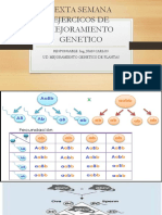 Sexta Semana Ejercicos de Mejoramiento Genetico PDF