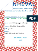 "Año de La Universalización de La Salud": Microbiología y Parasitología