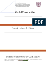 Absorcion de DNA en suelos .docx