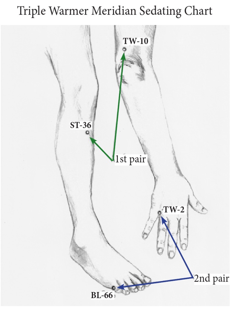 Energy Medicine for Practitioners PDF