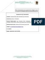 017 - PP Fortalecimiento de Las Organizaciones Indigenas - Congreso de Los Pueblos