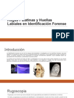 Forense Rectifcada