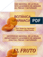 Clase Fruto PDF