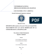 eficiencia de eisenia foetida amazonas - sacar diseño.pdf