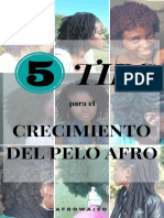 Ebook 5 Tips Crecimiento Pelo Afro PDF