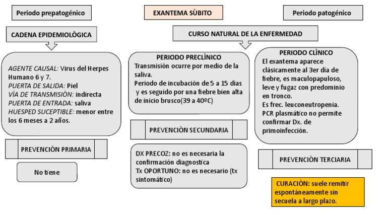 Exantema Subito Historia Natural De La Enfermedad Pdf