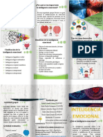 Folleto de Inteligencia Emocional