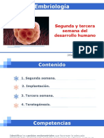 Segunda y Tercera Semana Del Desarrollo PDF