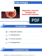 2. SEGUNDA Y TERCERA SEMANA DEL DESARROLLO.pdf