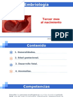 Tercer Mes Al Nacimiento PDF