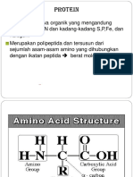  Metabolisme Protein