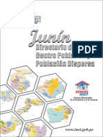 Directorio de Centro Poblados y Poblaci n Dispersa Jun n (1).pdf