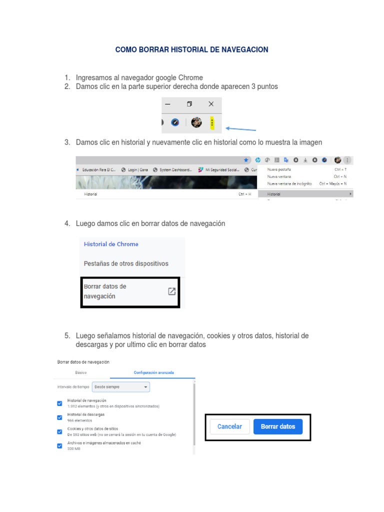 Como Borrar Historial de Navegacion | PDF