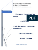 Lab Estructura