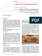 Caracteristicas y Manejo Del Lecho de Las Heridas Cronicas PDF