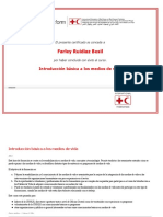 Basicos de Medios de Vida PDF