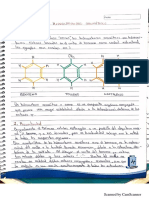 Trans. Hidrocarburos Aromáticos PDF