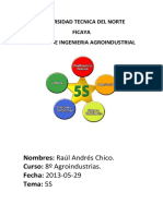 Nombres: Raúl Andrés Chico. Curso: 8º Agroindustrias. Fecha: 2013-05-29 Tema: 5S