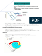 Sistemática Filogenética 2 PDF