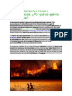 Incendios Del Amazonas