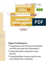 Hormon Hewan