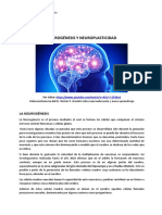 Neurogénesis y neuroplasticidad