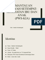 ANALISIS PWS-KIA DI KECAMATAN SAKETI